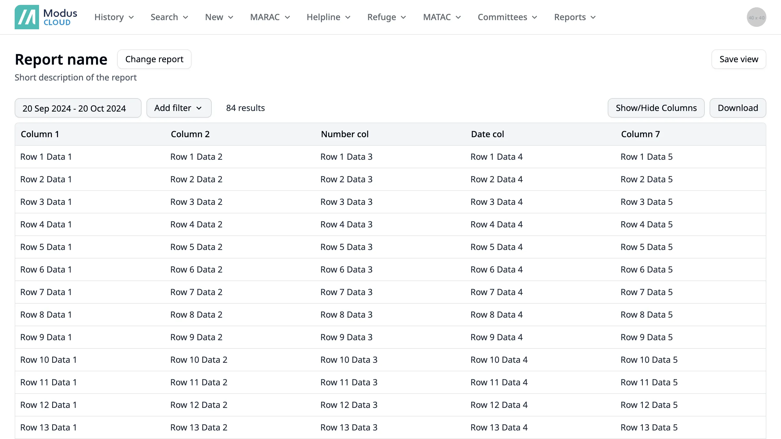 Default view showing a report with dummy data Default view showing a report with dummy data