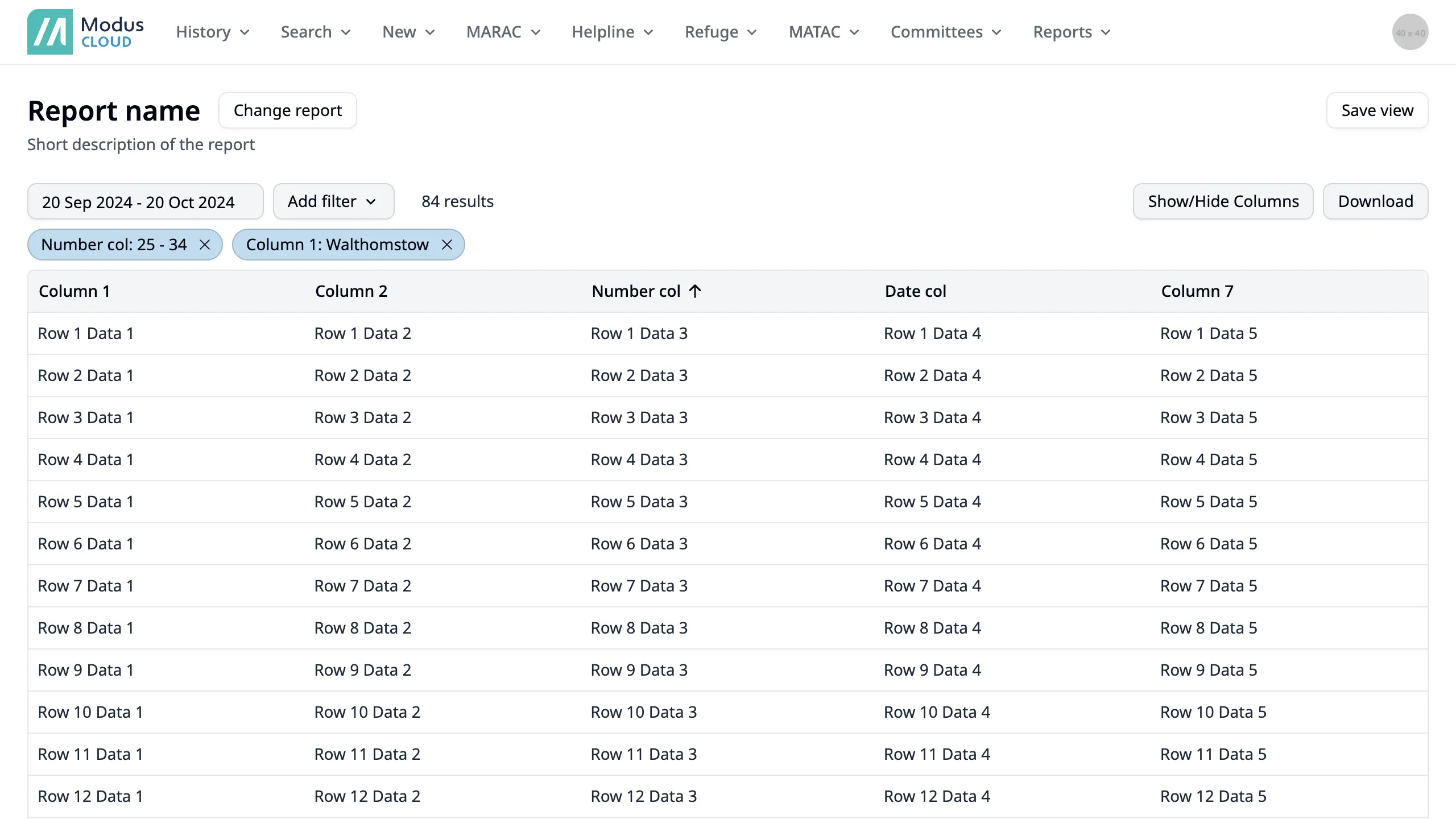Default view showing a report with dummy data, with filters applied Default view showing a report with dummy data, with filters applied